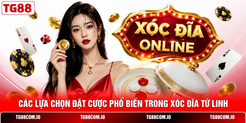Cách Chơi Xóc Đĩa Tứ Linh Bất Bại Cho Cược Thủ Đỉnh Cao 2 Các lựa chọn đặt cược phổ biến trong xóc đĩa Tứ Linh