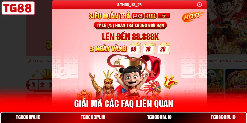 Giải mã các FAQ liên quan